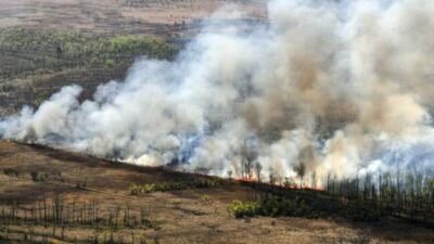 De qué manera la Ley de Humedales podría evitar las crisis recurrentes