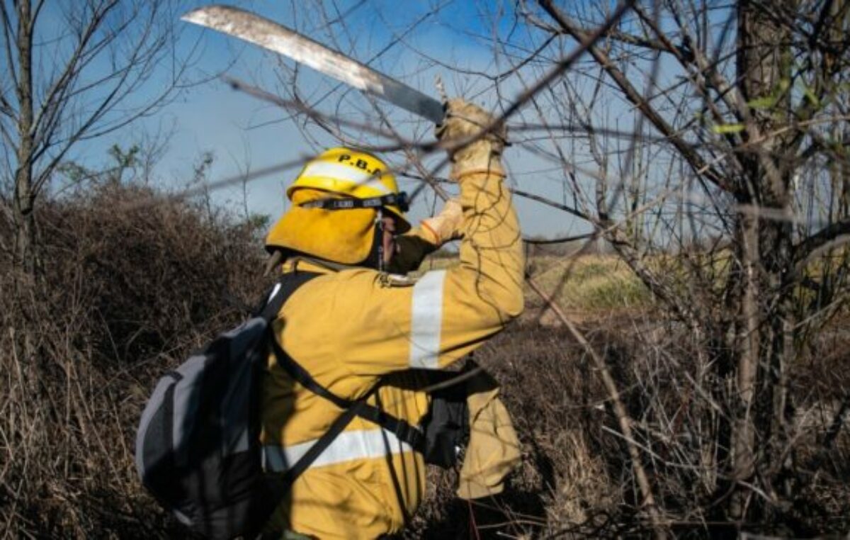 Ambiente denunciará a los dueños de los predios donde se iniciaron los incendios del Delta