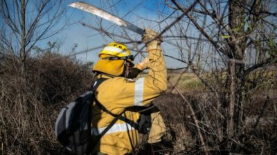 Ambiente denunciará a los dueños de los predios donde se iniciaron los incendios del Delta