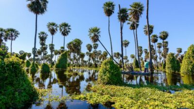 Formosa: Un paraíso por descubrir