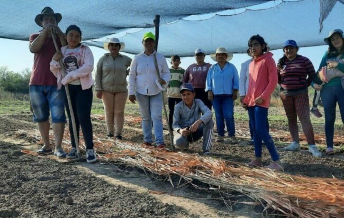 Manos a la tierra, saberes ancestrales y «Kokue», la app que ayuda a crear huertas agroecológicas