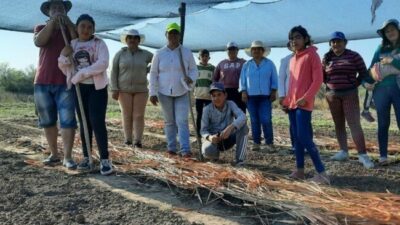 Manos a la tierra, saberes ancestrales y «Kokue», la app que ayuda a crear huertas agroecológicas