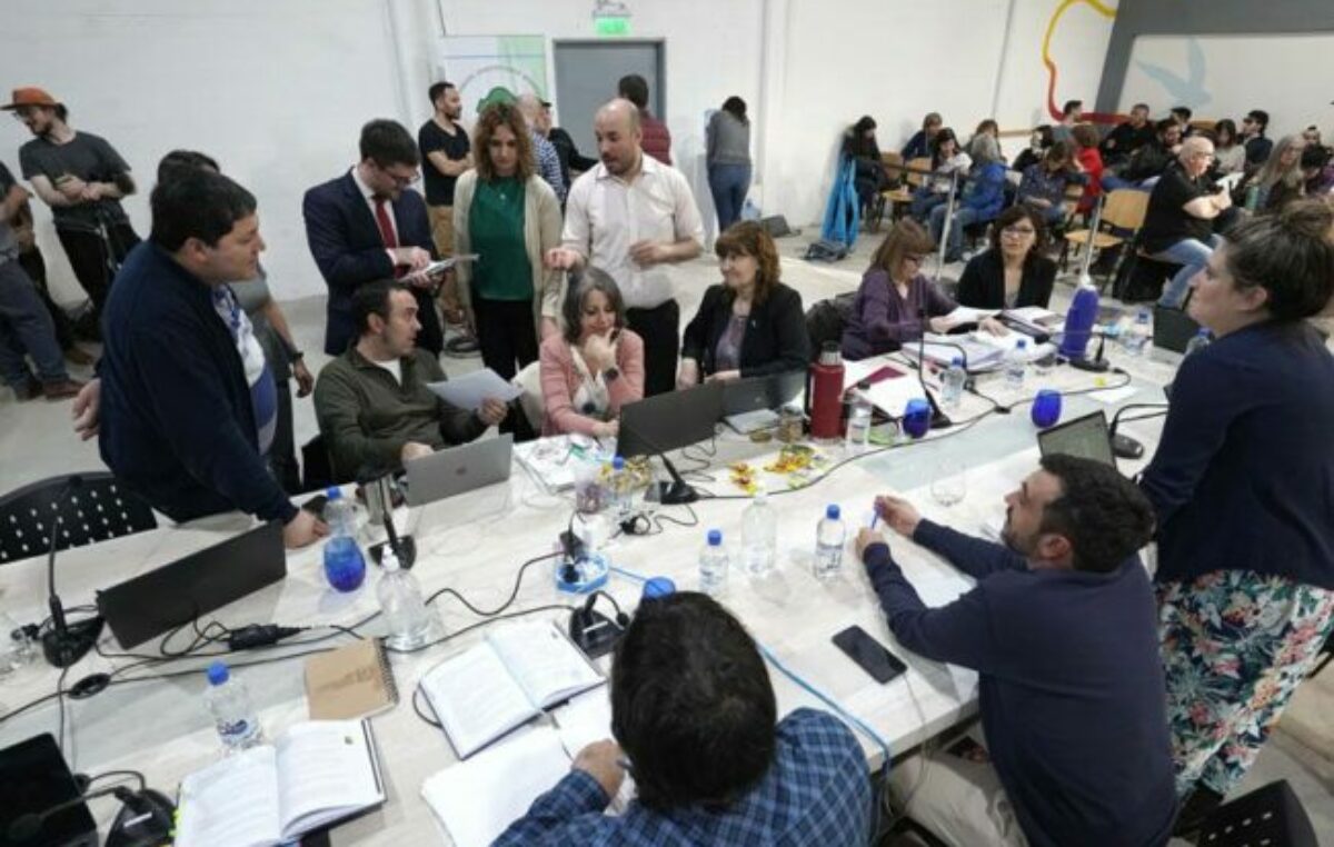 La Convención de Ushuaia avanzó sobre 16 nuevos artículos