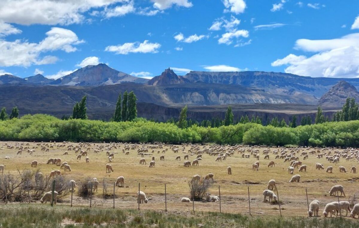 De Los Antiguos a Lago Posadas, los 170 kilómetros de la bella Ruta 41, en Santa Cruz
