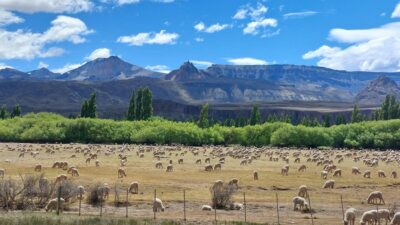 De Los Antiguos a Lago Posadas, los 170 kilómetros de la bella Ruta 41, en Santa Cruz