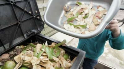 Desperdicio de comida en el país: números, evaluación e iniciativas 