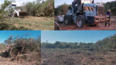 Tras el fuego, denuncian que llegó maquinaria pesada a las islas para destruir el monte nativo