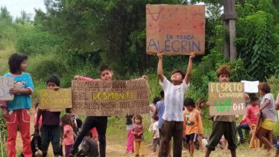 Misiones pierde más de 8.000 hectáreas de selva cada año