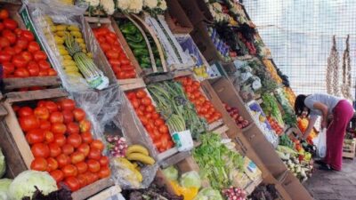No aptas para «veggies»: en qué regiones del país las frutas y verduras son un lujo