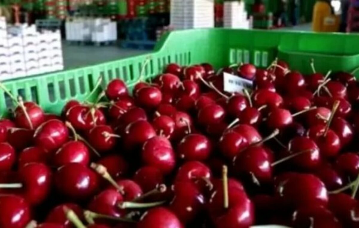Las cerezas de Gaiman ya ingresaron en el mercado brasileño