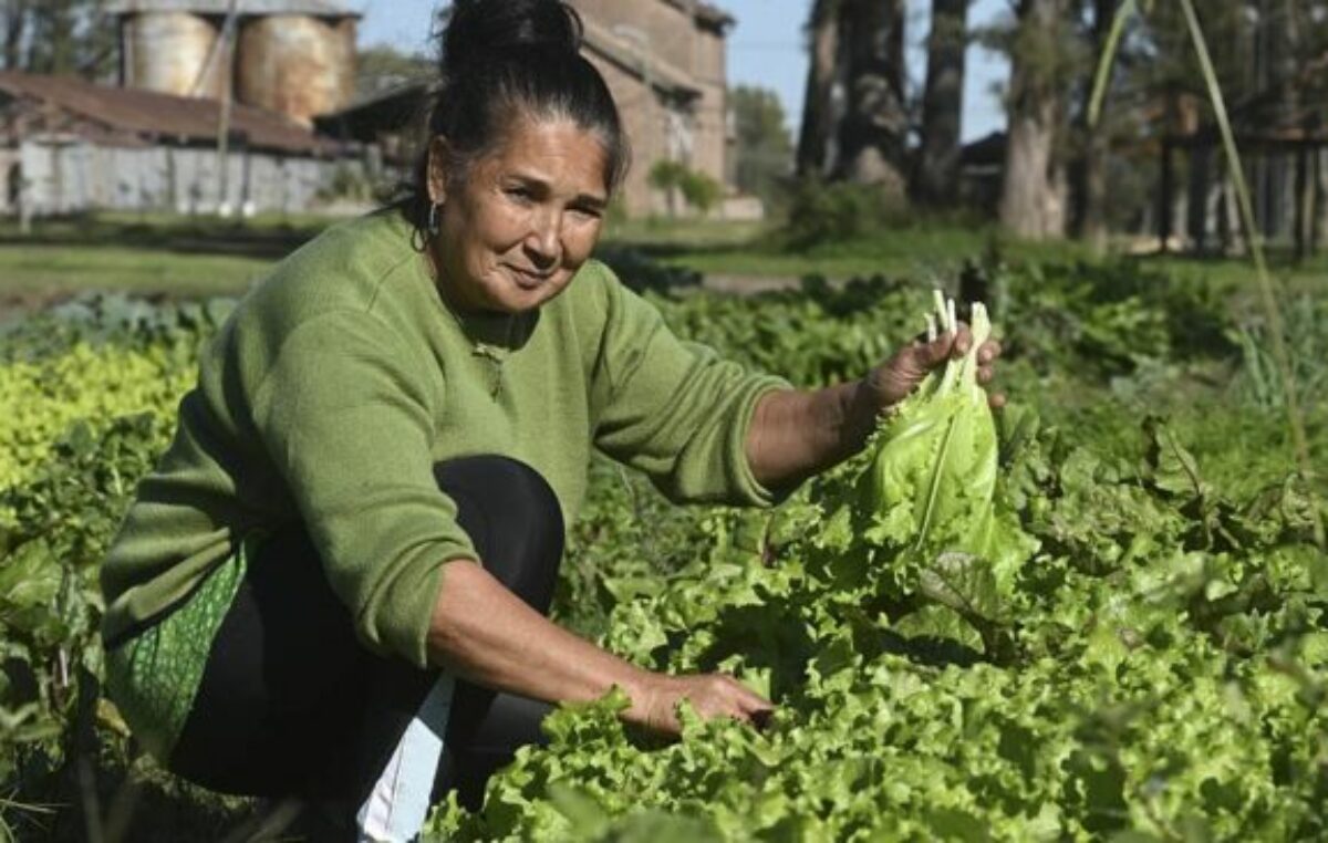 Organizaciones rurales lanzan el «Congreso por la Tierra, la Producción y Nuestra Casa»
