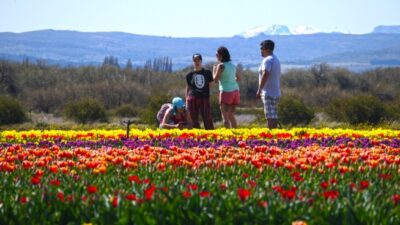 Tierra de tulipanes y otras escapadas soñadas por 150 pueblos se suman a Google Maps