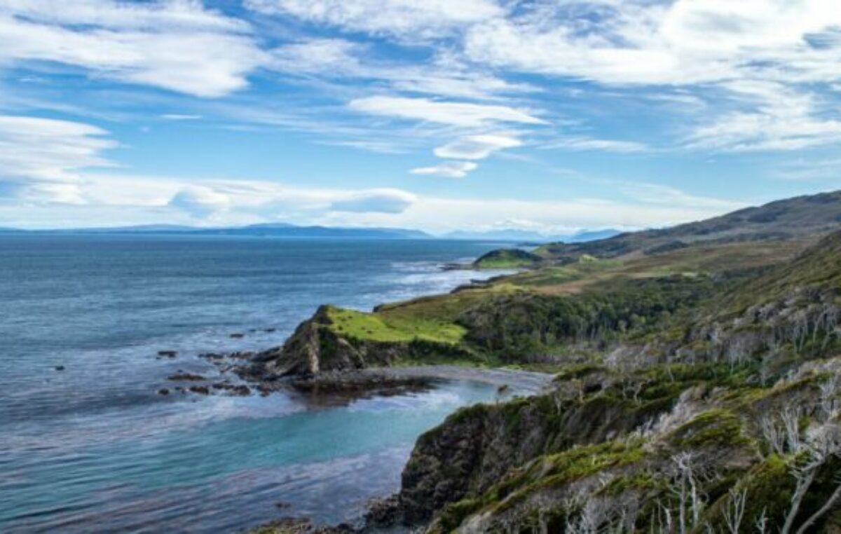 Tierra del Fuego: Buscan proteger por ley a Península Mitre, el mayor reservorio de carbono del país