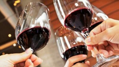 Con la copa en alto, Argentina celebra el Día Nacional del Vino