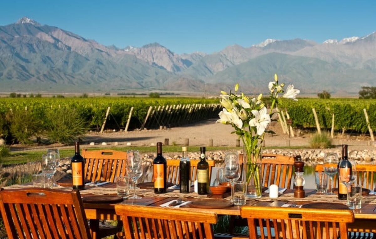 Radiografía del turismo del vino: 320 bodegas en 14 provincias abren sus puertas a los visitantes