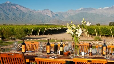 Radiografía del turismo del vino: 320 bodegas en 14 provincias abren sus puertas a los visitantes