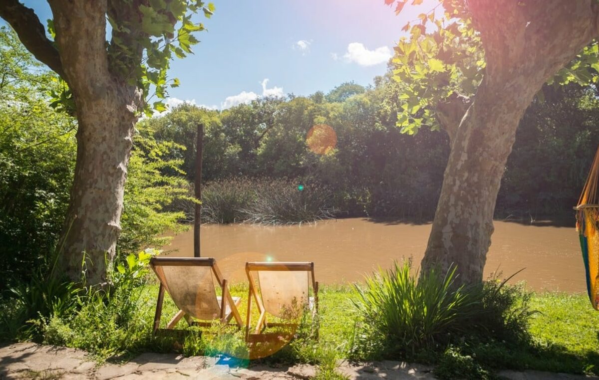 La Ruta del Delta en Buenos Aires, una aventura en la que el río es protagonista