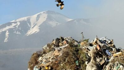 El intendente de Bariloche pedirá una sesión extraordinaria para licitar el saneamiento del basurero