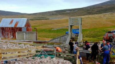 Radiografía demográfica de las Islas Malvinas: población envejecida y más diversidad cultural