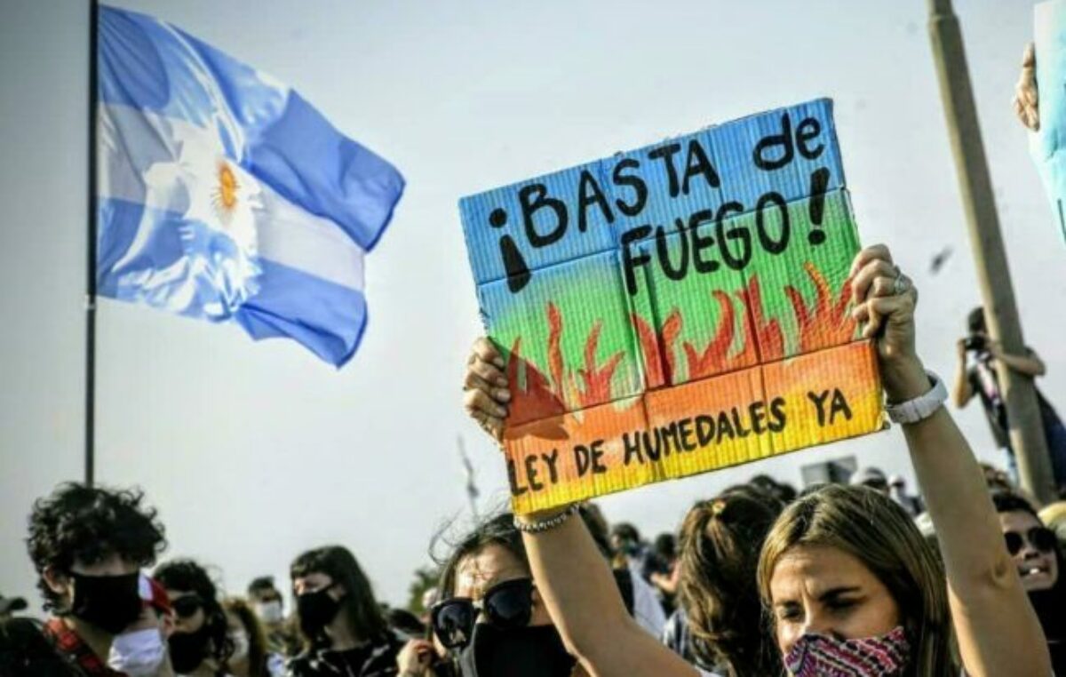 Ley de Humedales: Amnistía Internacional reclama al Congreso un tratamiento urgente 