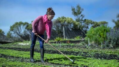 Paso del Sapo: Crece la agricultura familiar para autoabastecerse de hortalizas