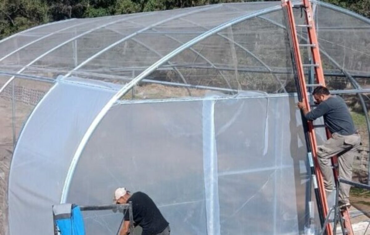Villa Valeria: suman producción de hortalizas con hidroponía a la granja municipal