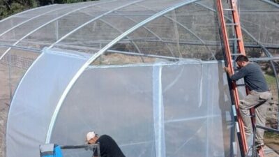 Villa Valeria: suman producción de hortalizas con hidroponía a la granja municipal
