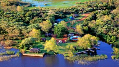 Carlos Pellegrini, 40 años después del inicio de la aventura de preservar el Iberá