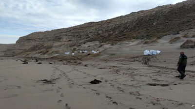 Ya recolectaron 400 cajones de pesca en Península Valdés