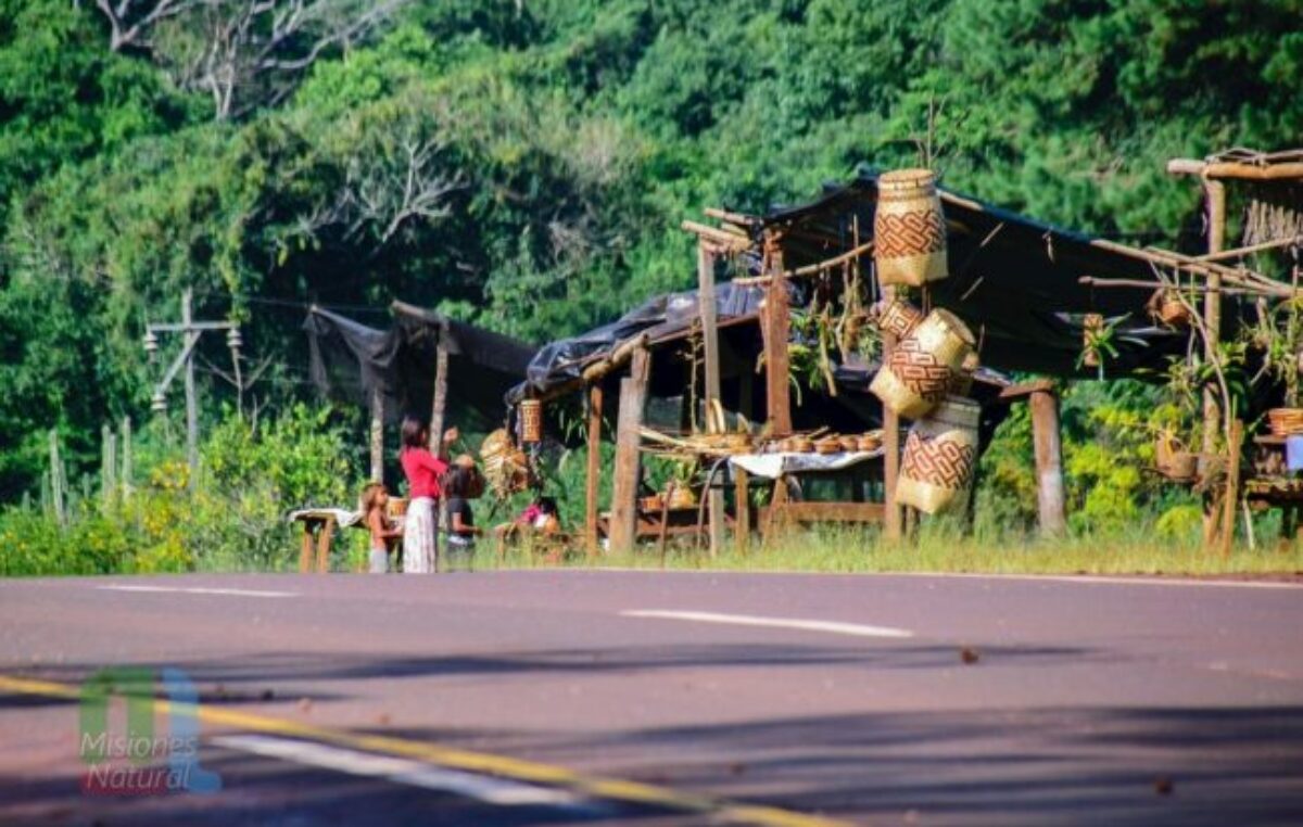 Misiones: Las comunidades guaraníes se suman al plan de Restauración Ecológica que impulsa la recuperación del monte nativo
