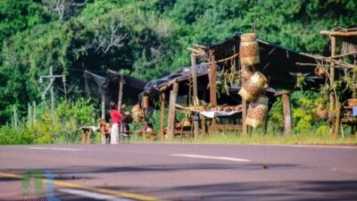 Misiones: Las comunidades guaraníes se suman al plan de Restauración Ecológica que impulsa la recuperación del monte nativo