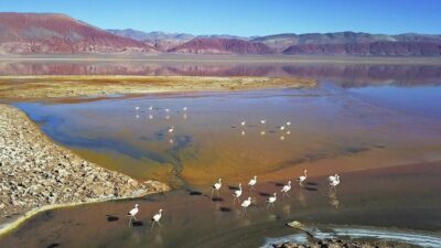 La tierra multicolor de Carachi Pampa