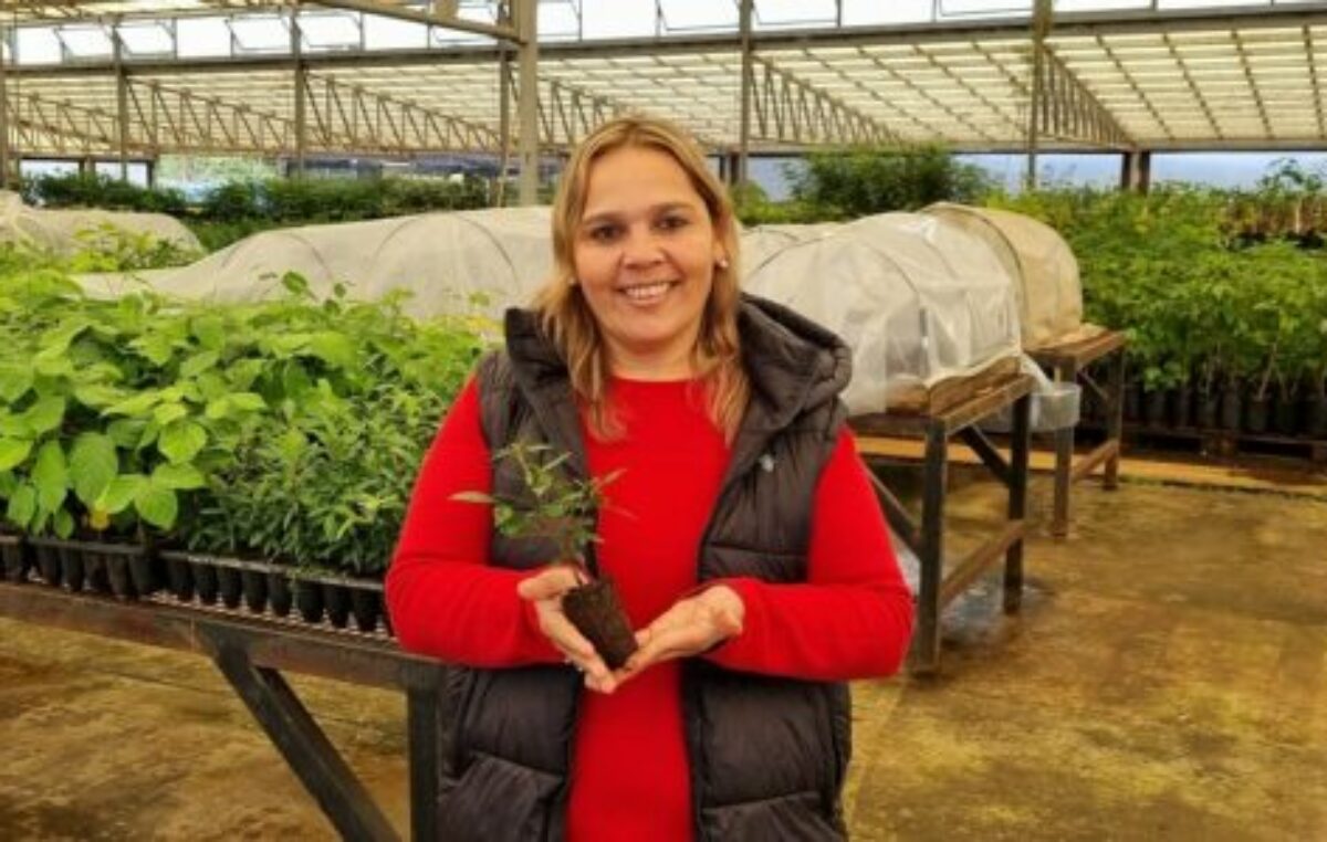 Ingeniera forestal y viverista misionera transforma Posadas en un paraíso verde: “Es un trabajo importantísimo para el futuro de nuestra provincia”