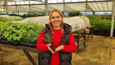 Ingeniera forestal y viverista misionera transforma Posadas en un paraíso verde: “Es un trabajo importantísimo para el futuro de nuestra provincia”