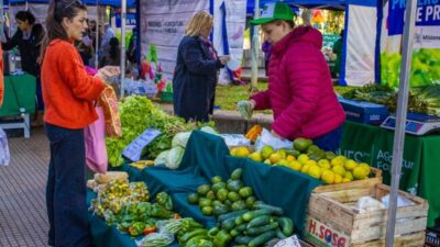 Hacia una provincia agroecológica: las ferias francas cumplen 25 años en Posadas y 28 en Oberá