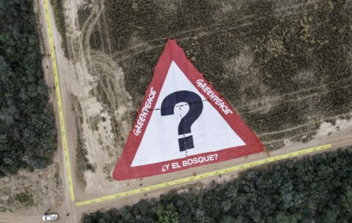 Embarcación: protesta en el desmonte ilegal más grande del país en nuestra provincia