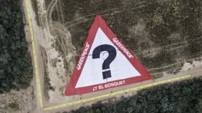 Embarcación: protesta en el desmonte ilegal más grande del país en nuestra provincia