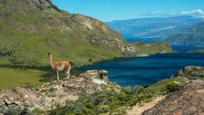Los Antiguos se reinventa para el invierno
