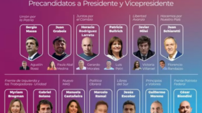 Solo cinco de las 15 fuerzas que se presentaron en las PASO podrán competir en octubre
