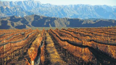 Los caminos del vino en La Rioja