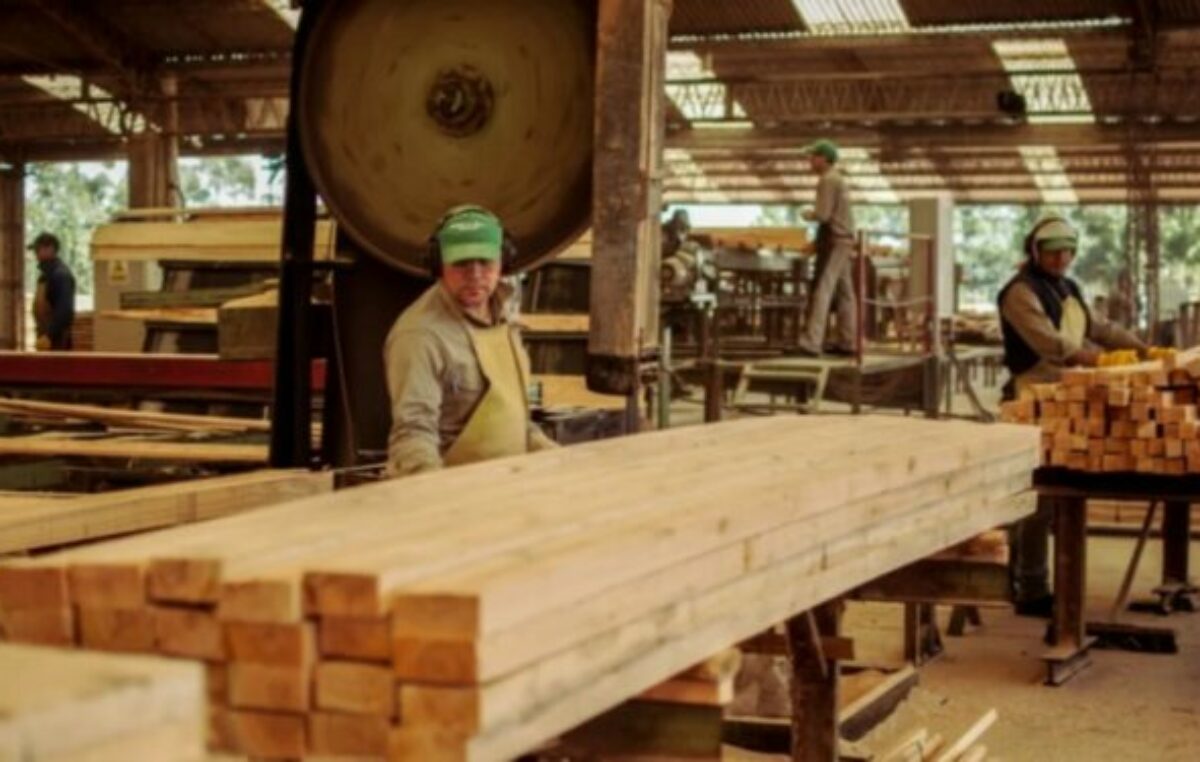 En junio, Corrientes tuvo 81.183 empleos privados registrados, por encima del promedio a nivel país