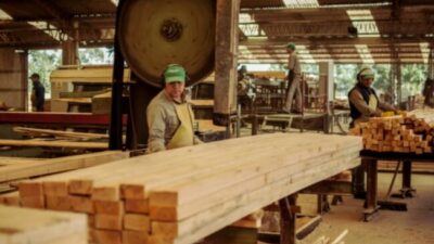 En junio, Corrientes tuvo 81.183 empleos privados registrados, por encima del promedio a nivel país
