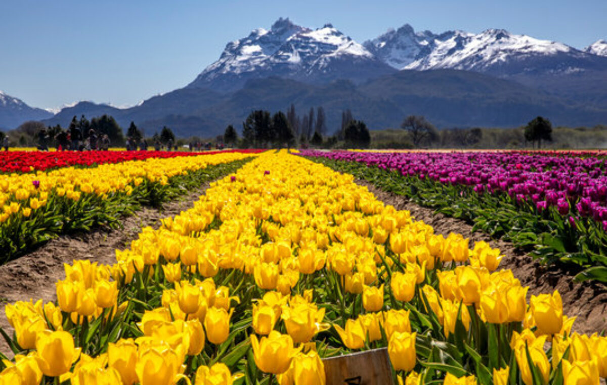 Trevelin, un pueblo mágico de la Patagonia para vacacionar en primavera