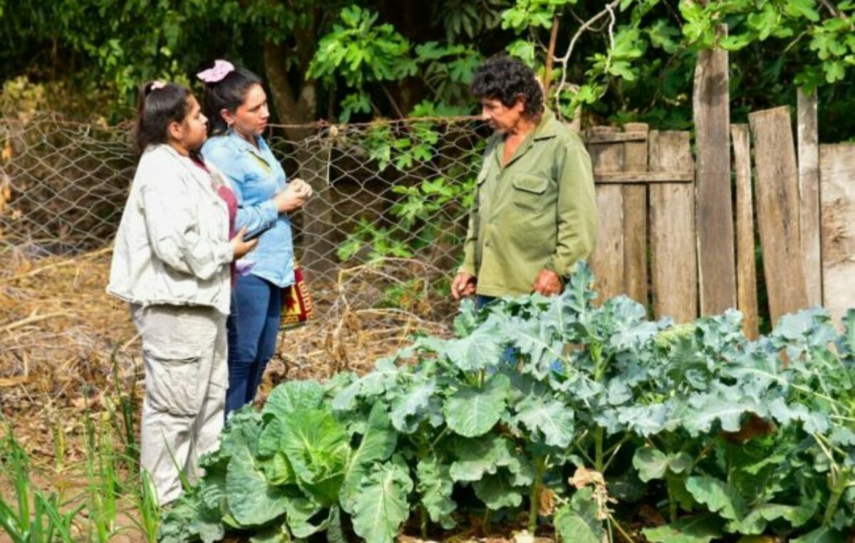 Geolocalizaron 509 huertas de comunidades originarias en el norte de Salta