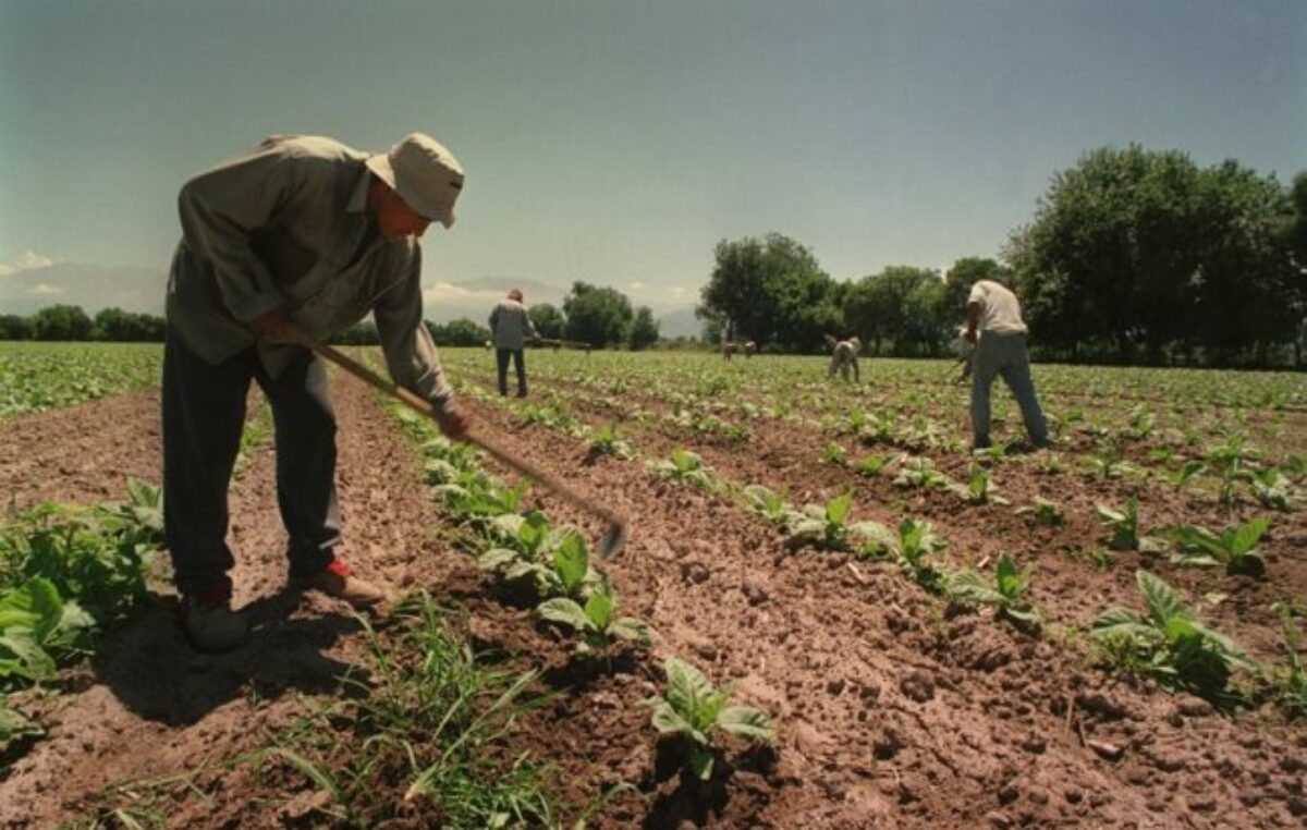 El 24,4% de los trabajadores jujeños busca otro empleo