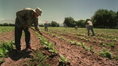El 24,4% de los trabajadores jujeños busca otro empleo