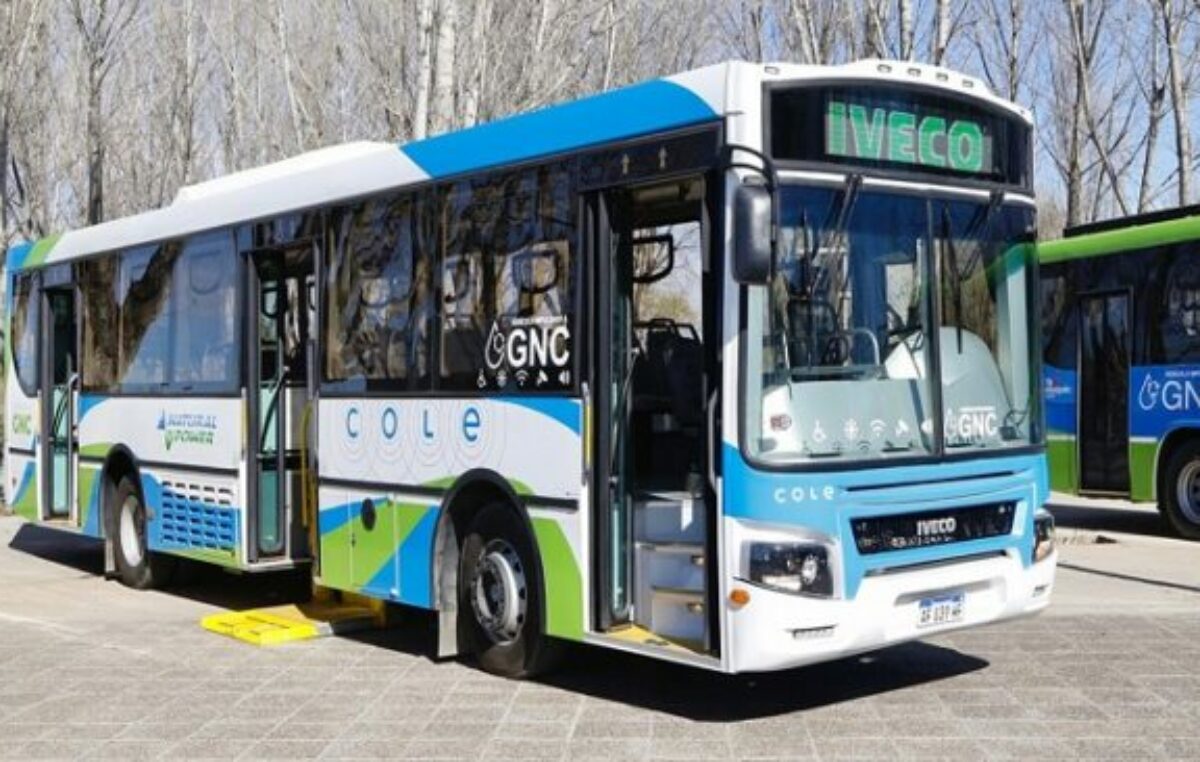 Presentaron en Neuquén dos nuevas unidades de colectivos a gas