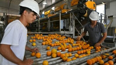 Por un reparto más equilibrado de la renta