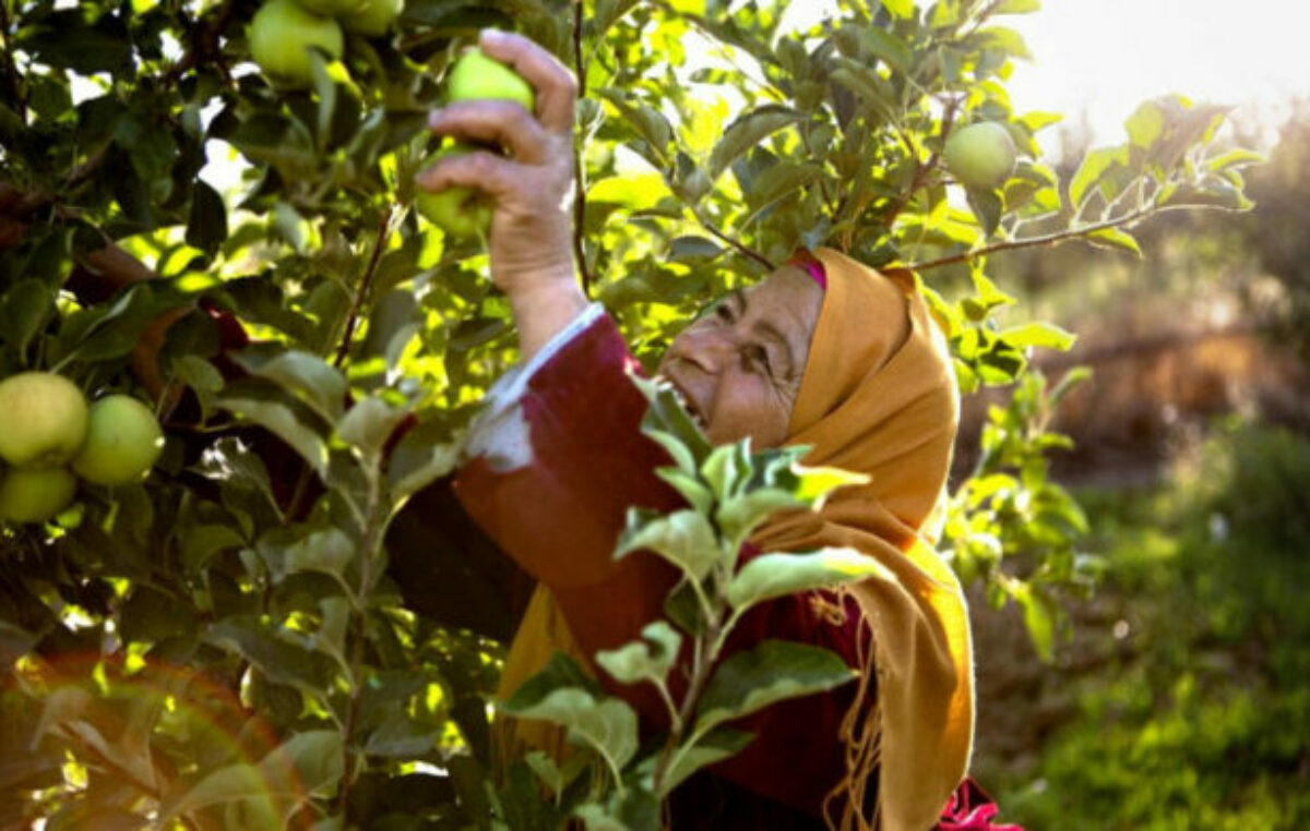 Semana del Clima: Los agricultores en pequeña escala son actores fundamentales en la solución al cambio climático, aseguran desde el FIDA