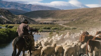 Cómo será la ruta de los primeros arreos turísticos en Neuquén